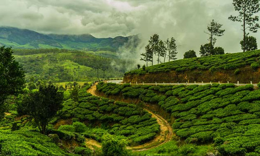 Munnar