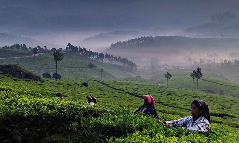 Munnar